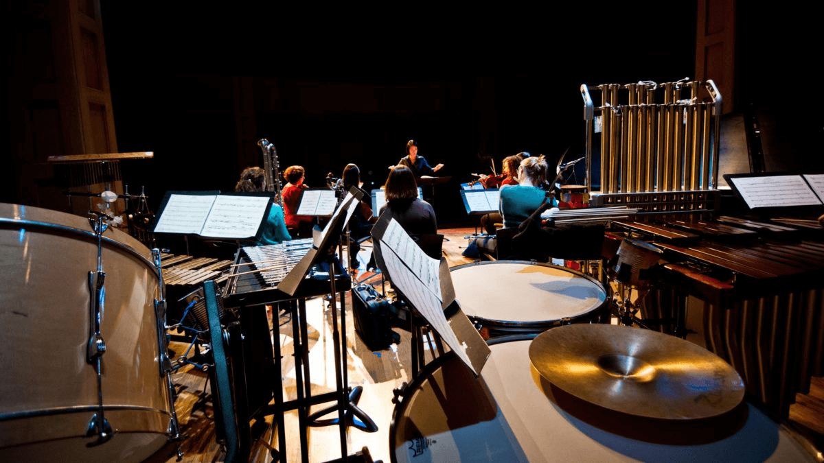 The Seattle Modern Orchestra performing on stage, from the perspective of a percussionist in the back. Photo credit: Amy Vandergon